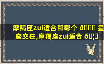 摩羯座zui
适合和哪个 🐞 星座交往,摩羯座zui
适合 🦟 和哪个星座交往朋友